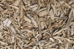 biomass boilers Roddymoor